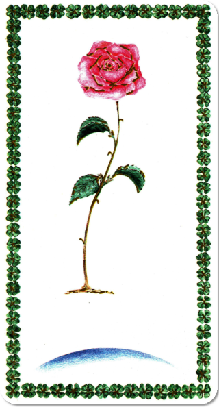 La rose du tarot du trèfle